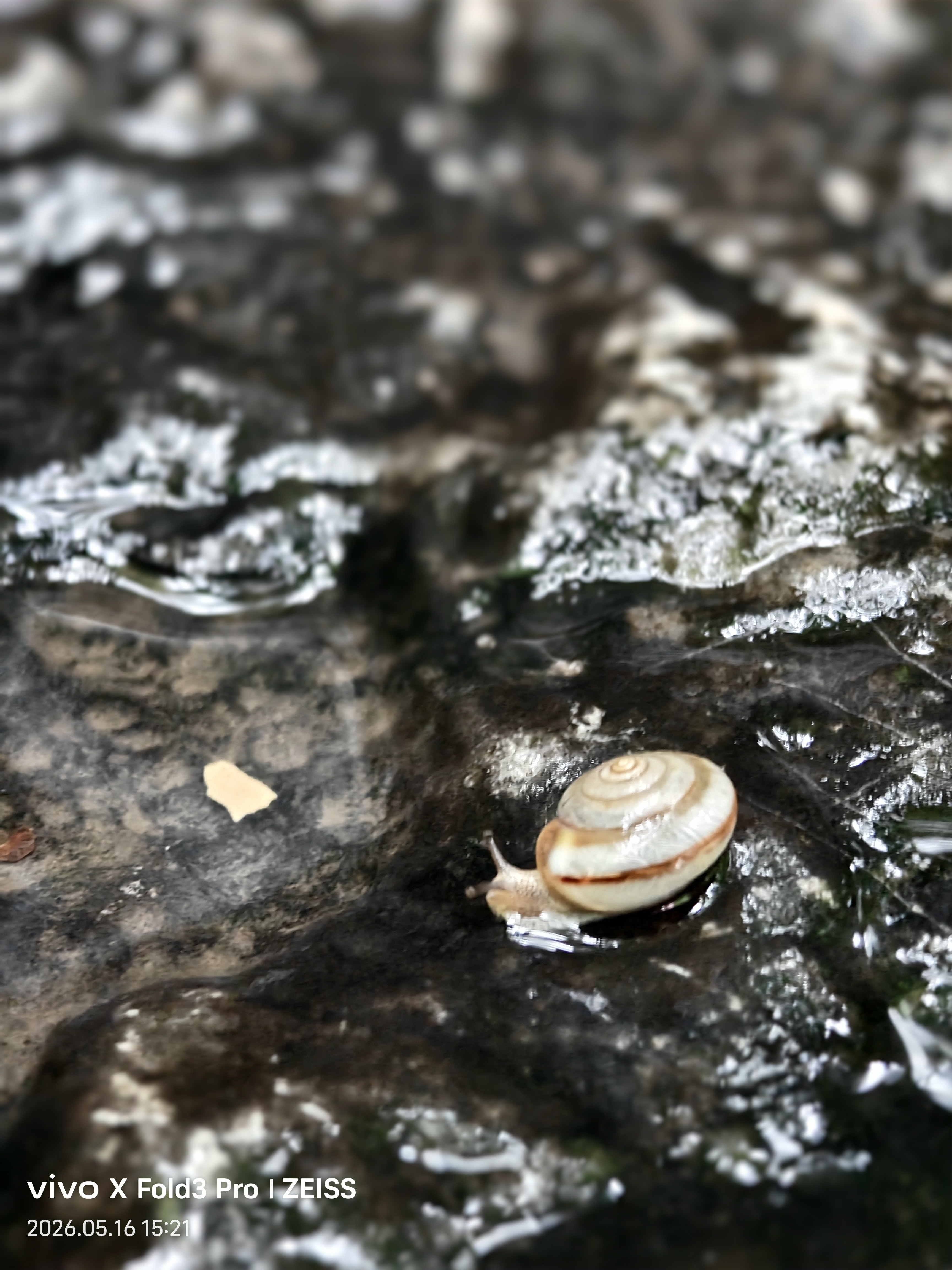 雨游云台